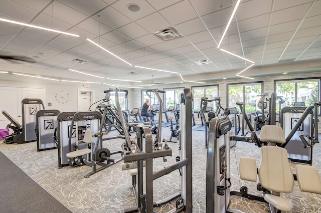 gym featuring visible vents, carpet, and a drop ceiling