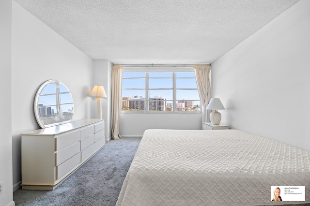 137 Golden Isles Dr Unit 806, Hallandale Beach, FL 33009 - bedroom featuring carpet flooring, a textured ceiling, and a city view