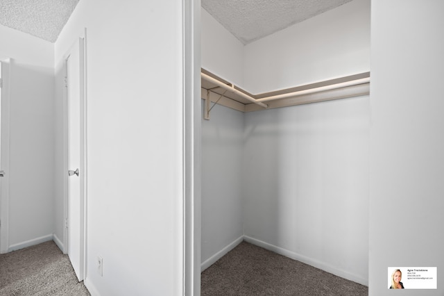 137 Golden Isles Dr Unit 806, Hallandale Beach, FL 33009 - spacious closet featuring carpet floors