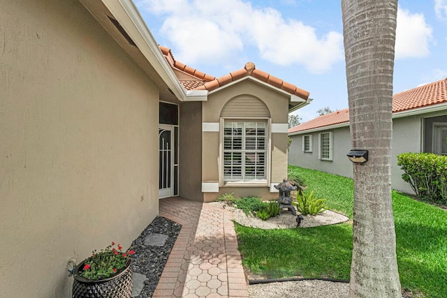 view of exterior entry with a yard, stucco siding, and a tiled roof