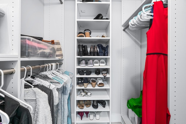 view of walk in closet