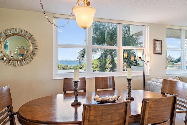 5440 N Ocean Dr Unit 202, Singer Island, FL 33404 - dining room with plenty of natural light and a textured ceiling