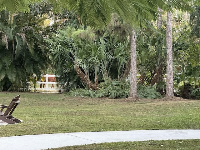 16239 121st Ter N, Jupiter, FL 33478 - view of yard featuring fence