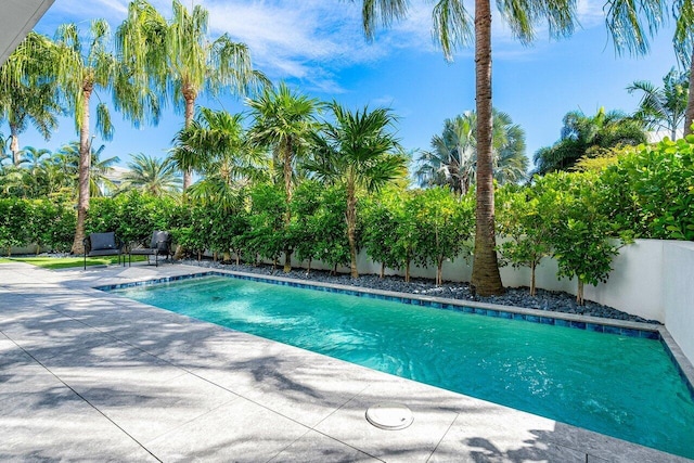 914 Palm Trl, Delray Beach, FL 33483 - view of swimming pool featuring a fenced backyard, a fenced in pool, and a patio area