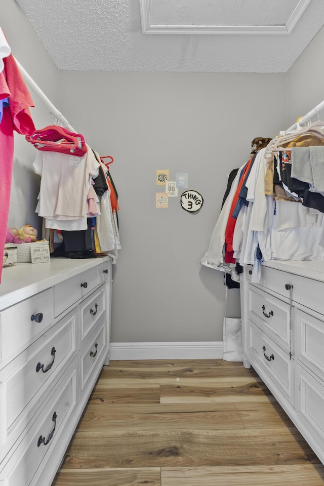 1693 Woodbridge Lakes Cir, West Palm Beach, FL 33406 - walk in closet featuring light wood-style flooring