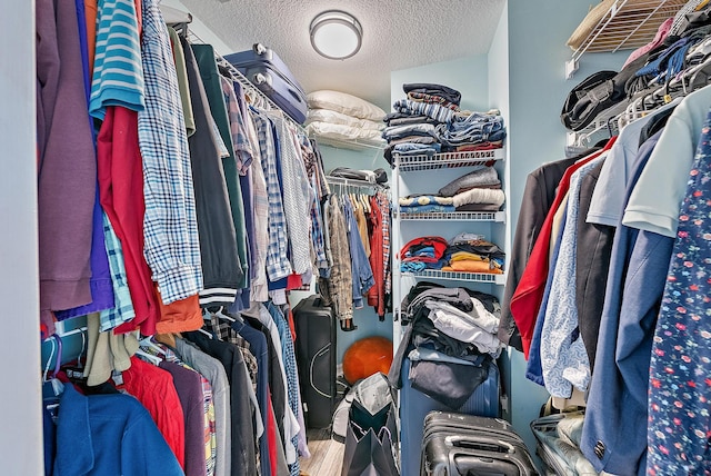 4474 Thornwood Cir, Palm Beach Gardens, FL 33418 - view of spacious closet