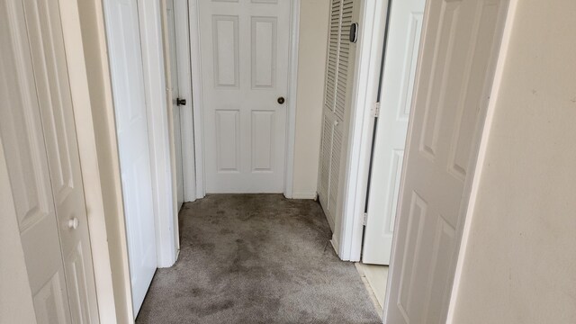 corridor featuring carpet flooring