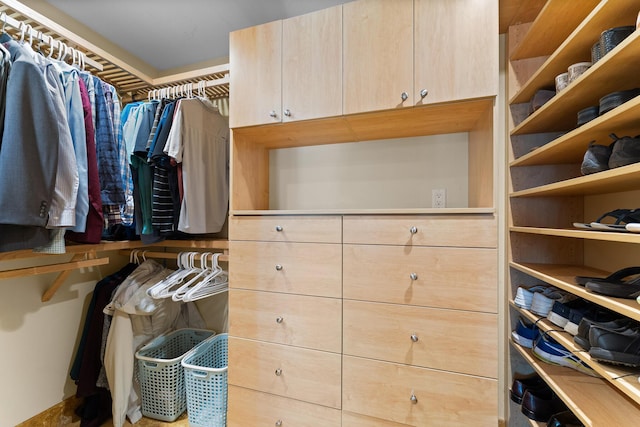view of walk in closet
