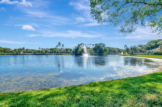 water view