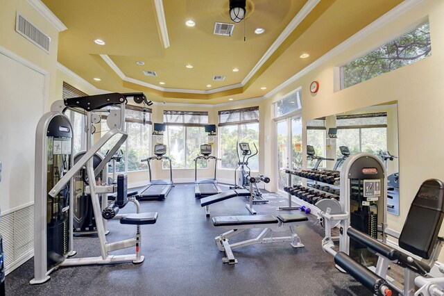 workout area with visible vents, a raised ceiling, and crown molding
