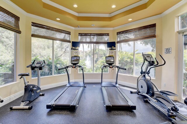 workout area with crown molding, baseboards, a tray ceiling, and a healthy amount of sunlight