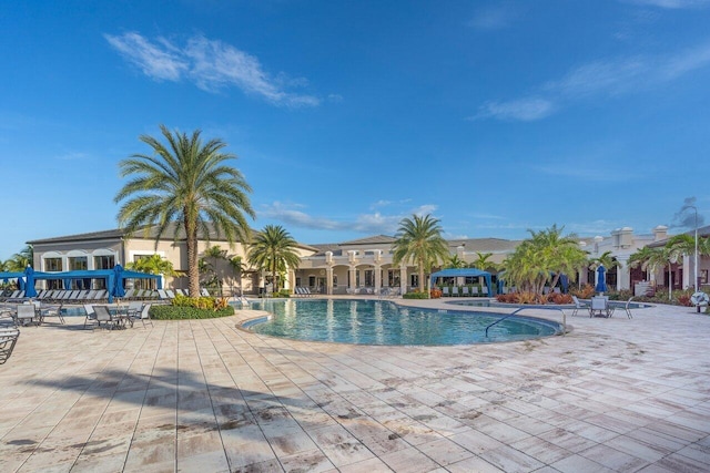 8673 Carmel Mountain Way, Boynton Beach, FL 33473 - community pool featuring a patio area