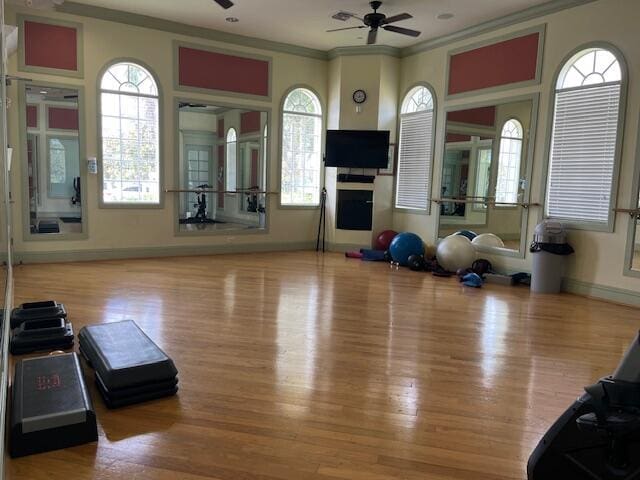 workout area featuring crown molding, a ceiling fan, wood finished floors, and a healthy amount of sunlight