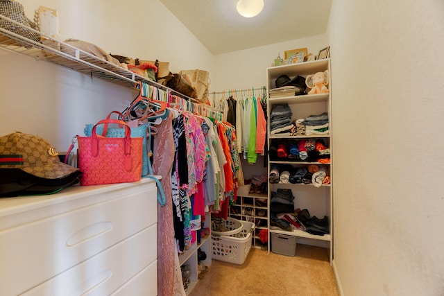 spacious closet with carpet