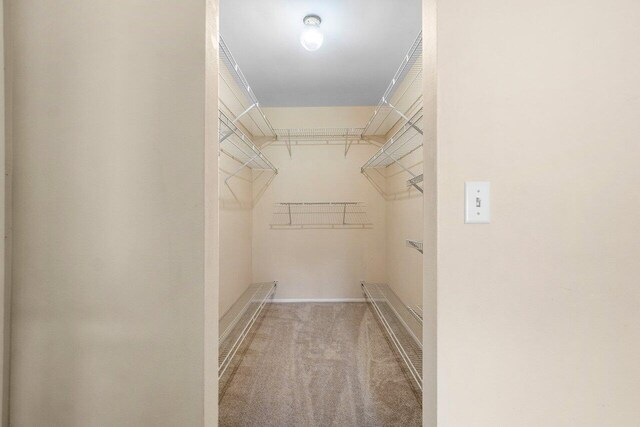 walk in closet featuring light carpet