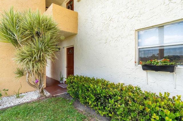 doorway to property featuring stucco siding