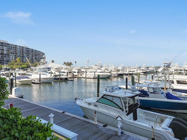 dock area with a water view