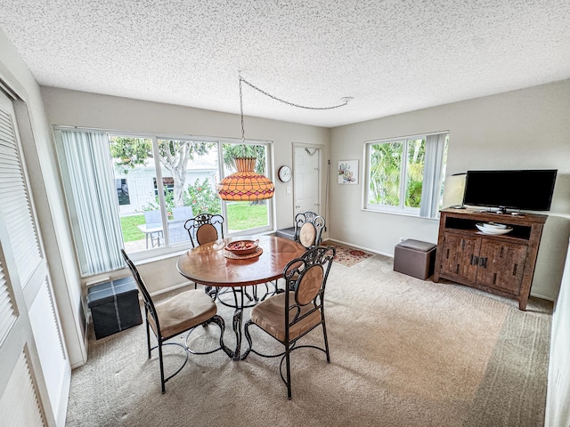 dining room featuring carpet floors, a textured ceiling, and baseboards