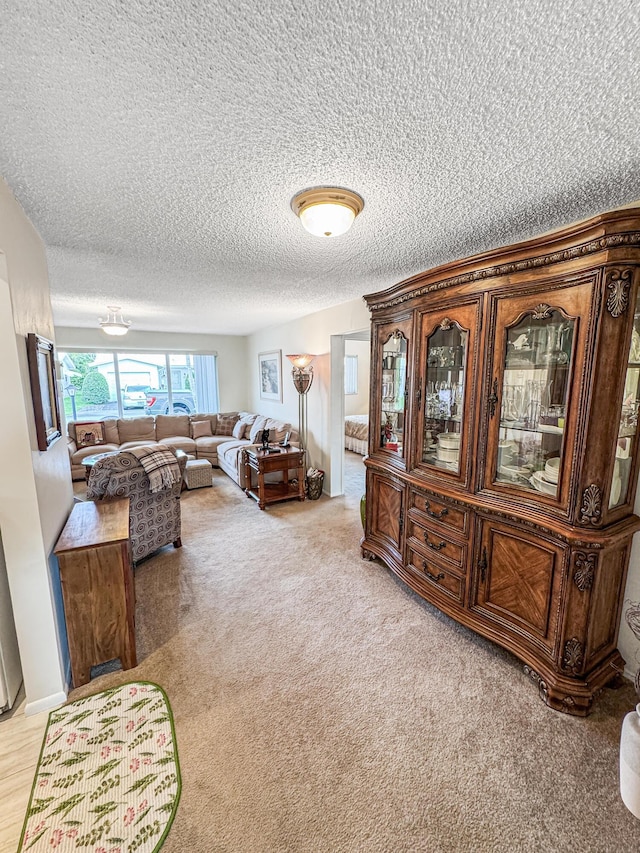 living room featuring a textured ceiling and light carpet