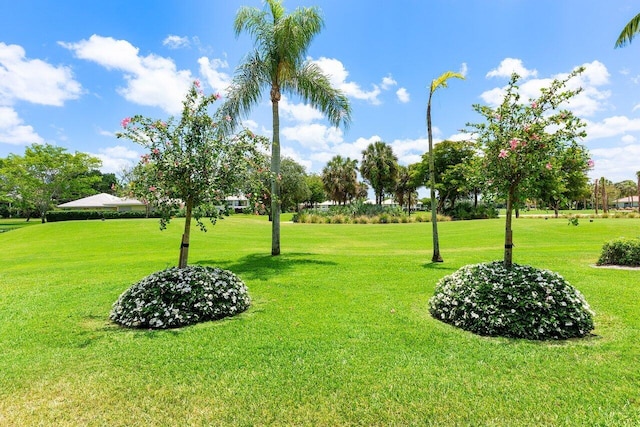 surrounding community featuring a yard