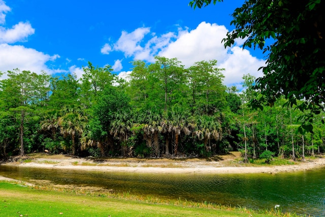 9681 Pine Trail Ct, Lake Worth, FL 33467 - view of yard with a water view and a view of trees