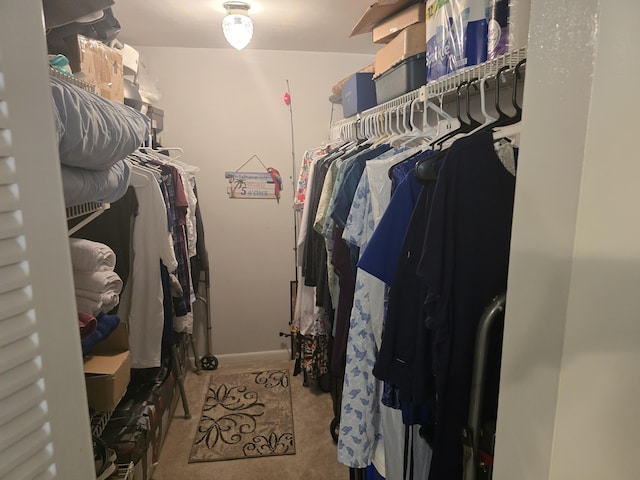 walk in closet featuring carpet floors
