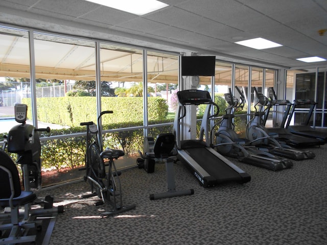 gym featuring plenty of natural light and carpet