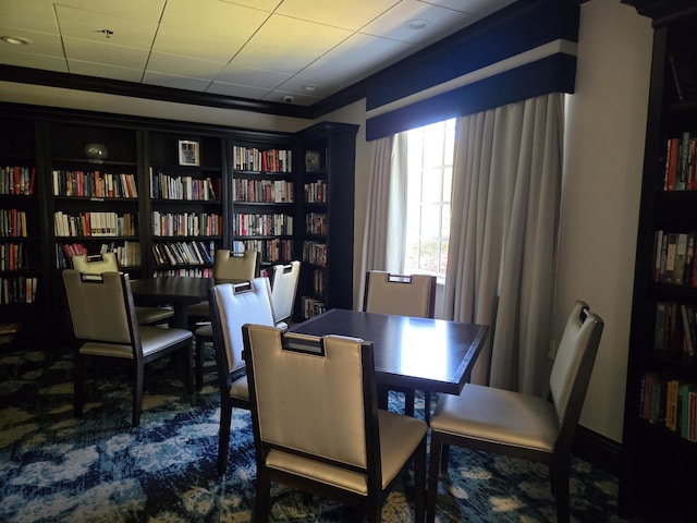 dining room featuring carpet flooring