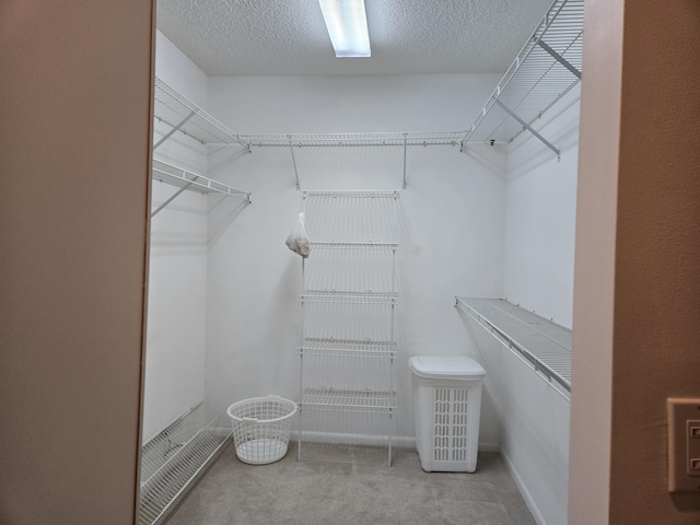 5135 Floria Dr Unit G, Boynton Beach, FL 33437 - walk in closet featuring carpet floors
