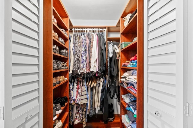 walk in closet featuring wood finished floors