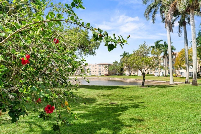 view of community with a water view and a yard