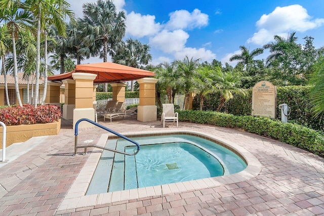 view of pool with a patio