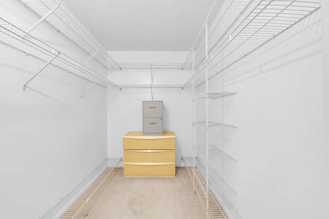 spacious closet featuring light colored carpet