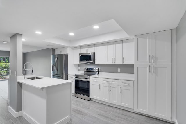 kitchen with white cabinets, a sink, light countertops, stainless steel appliances, and a tray ceiling