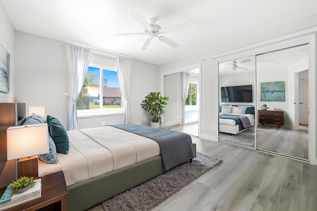 17225 Mare Ln, Loxahatchee, FL 33470 - bedroom featuring wood finished floors, multiple windows, and a ceiling fan