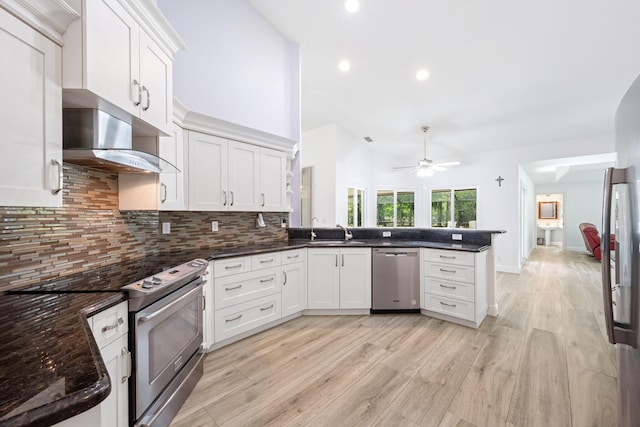 17225 Mare Ln, Loxahatchee, FL 33470 - kitchen featuring stainless steel appliances, under cabinet range hood, backsplash, a peninsula, and light wood-style floors
