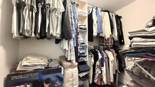 2925 SW 22nd Ave Unit 2030, Delray Beach, FL 33445 - view of walk in closet
