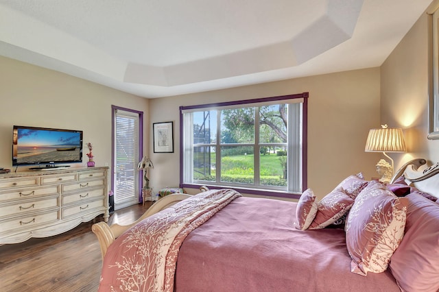 bedroom featuring a raised ceiling and wood finished floors