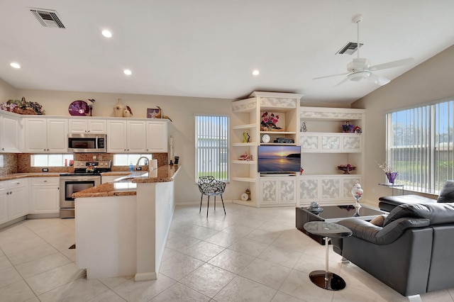 kitchen with a sink, appliances with stainless steel finishes, plenty of natural light, and tasteful backsplash