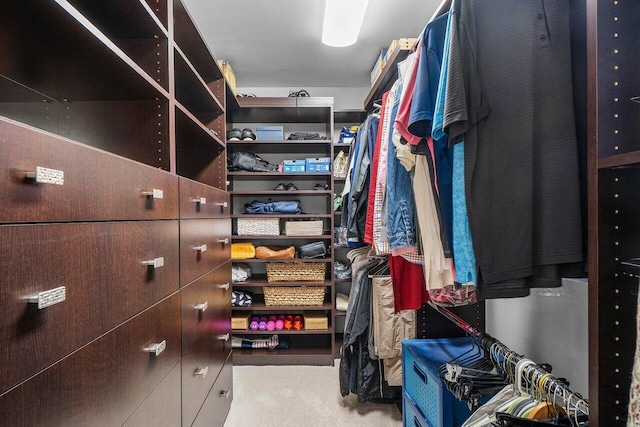 4001 N Ocean Blvd Unit 1108, Boca Raton, FL 33431 - spacious closet with carpet