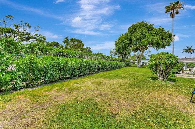 5154 Privet Pl Unit A, Delray Beach, FL 33484 - view of grassy yard featuring agricultural plots