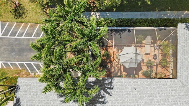 bird's eye view