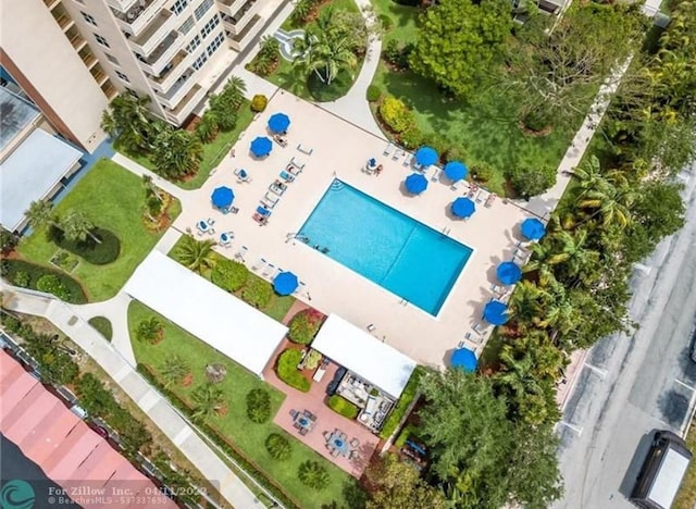 bird's eye view