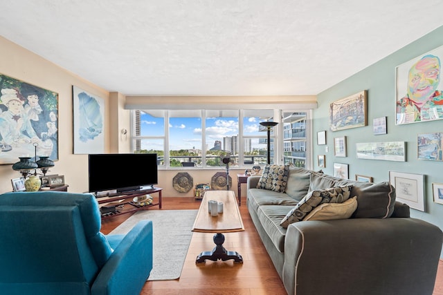 living room featuring a textured ceiling and wood finished floors