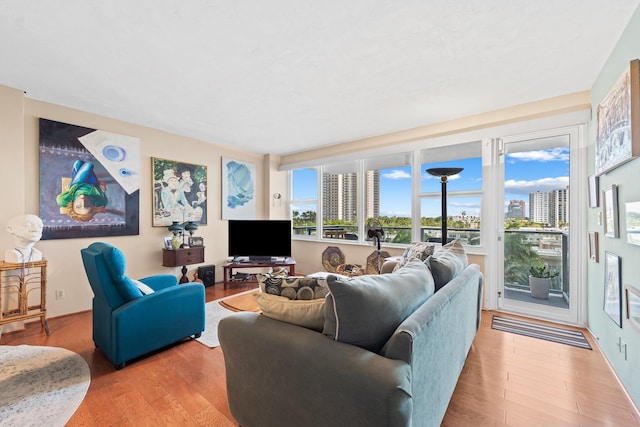 living room featuring wood finished floors