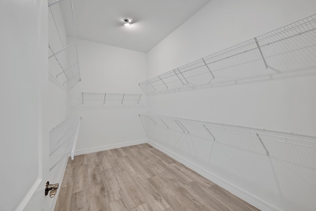 walk in closet featuring light wood finished floors