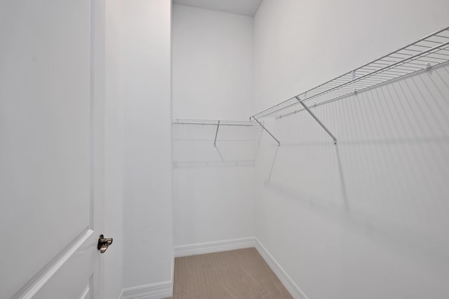 walk in closet featuring carpet