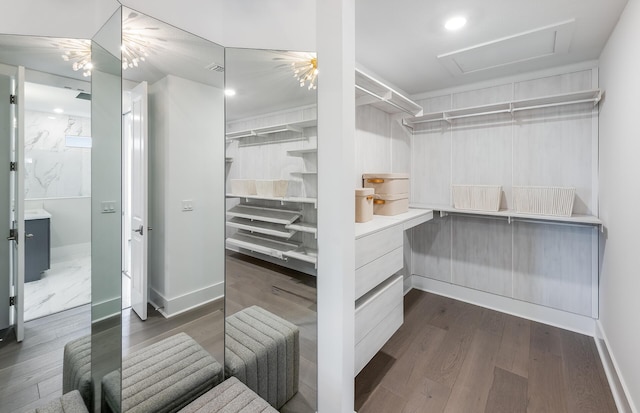 20136 Se Bridgewater Drive Livingston Model, Jupiter, FL 33458 - spacious closet with wood finished floors