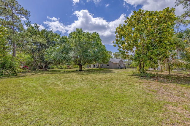 view of yard