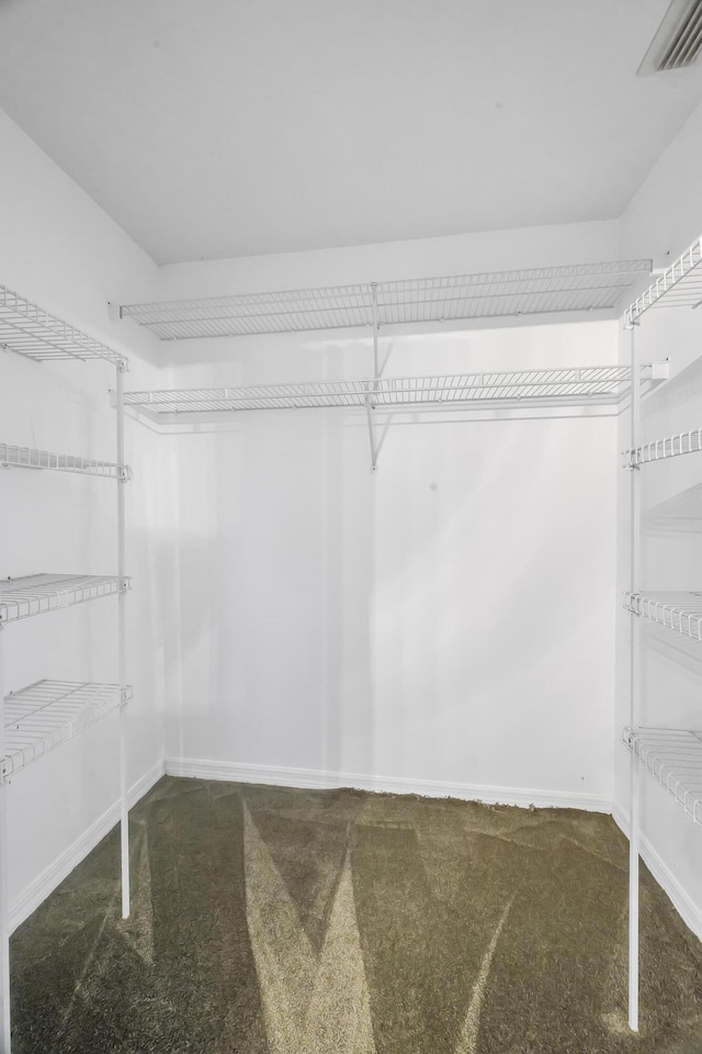 walk in closet featuring carpet and visible vents